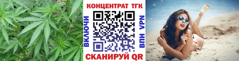 Купить где  Пугачёв  Дистиллят ТГК концентрат 